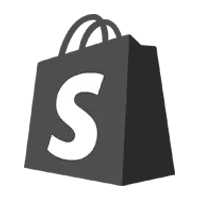 shopify website